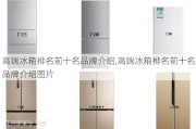 高端冰箱排名前十名品牌介绍,高端冰箱排名前十名品牌介绍图片