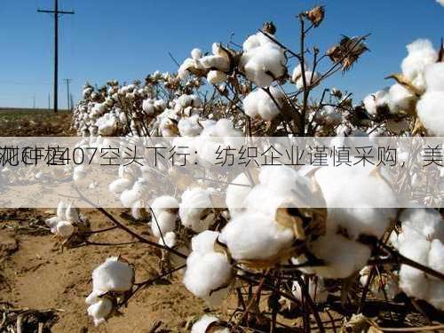 棉花CF2407空头下行：纺织企业谨慎采购，美
预测种植
增